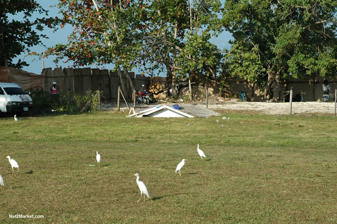 Spring Break 2005 -  6th Anniversary - All Day - All Night - Photo Gallery - Sunday, March 13th - Long Bay Beach, Negril Jamaica - Negril Travel Guide, Negril Jamaica WI - http://www.negriltravelguide.com - info@negriltravelguide.com...!